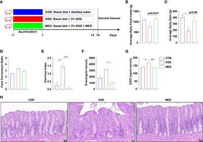 Mesalamine-Mediated Amelioration of Experimental Colitis in Piglets Involves Gut Microbiota Modulation and Intestinal Immune Cell Infiltration